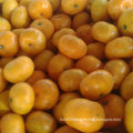 Golde Supplier of Sweet Baby Mandarin